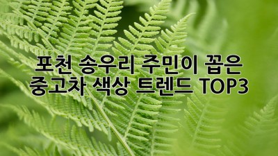 포천 송우리 주민이 꼽은 ✨ 중고차 색상 트렌드 TOP3 🚗💨