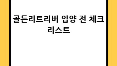 골든리트리버 강아지: 댕댕이 친구와 함께하는 행복 가이드
